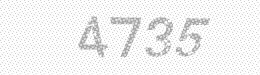 Visual security code — type the characters shown in the image