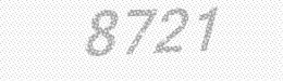 Visual security code — type the characters shown in the image