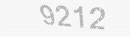 Visual security code — type the characters shown in the image